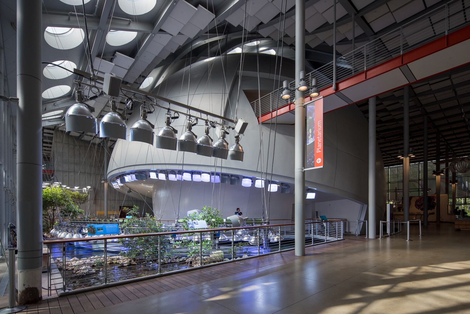 California Academy of Sciences by Renzo Piano | Francis Wu ...