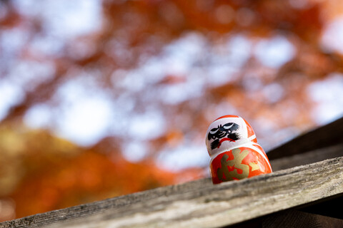 gallery thumb